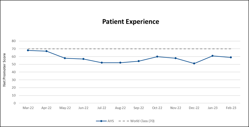 AHS The Patient Experience